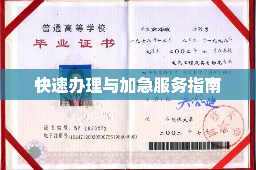 乳源快速办理与加急服务指南