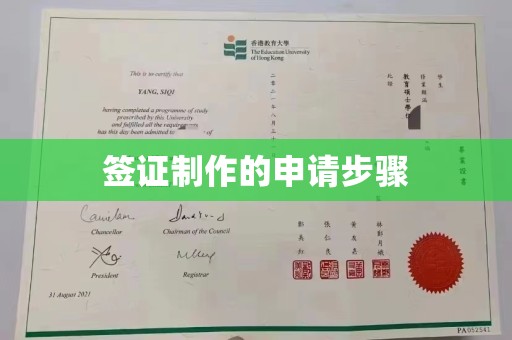 乳源签证制作的申请步骤