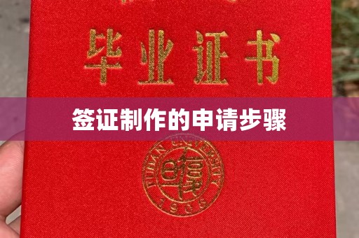 乳源签证制作的申请步骤