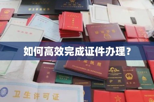 乳源如何高效完成证件办理？