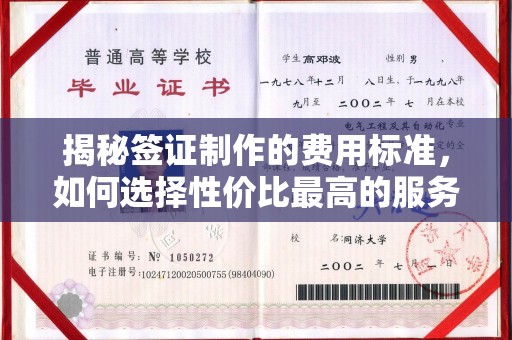 乳源揭秘签证制作的费用标准，如何选择性价比最高的服务？