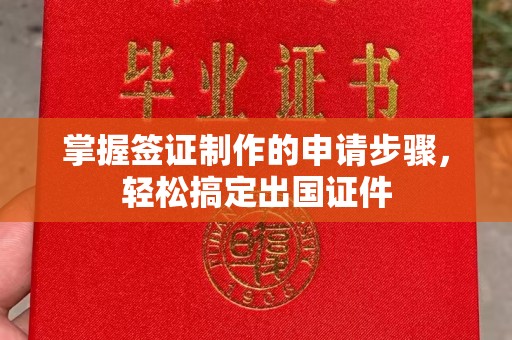 乳源掌握签证制作的申请步骤，轻松搞定出国证件
