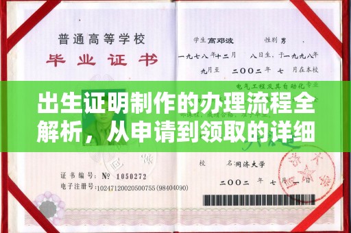 乳源出生证明制作的办理流程全解析，从申请到领取的详细指南