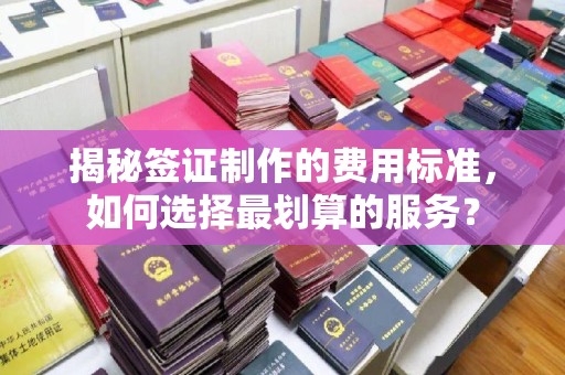 乳源揭秘签证制作的费用标准，如何选择最划算的服务？