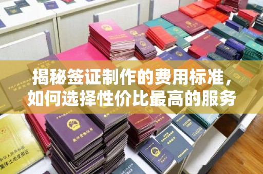 乳源揭秘签证制作的费用标准，如何选择性价比最高的服务？