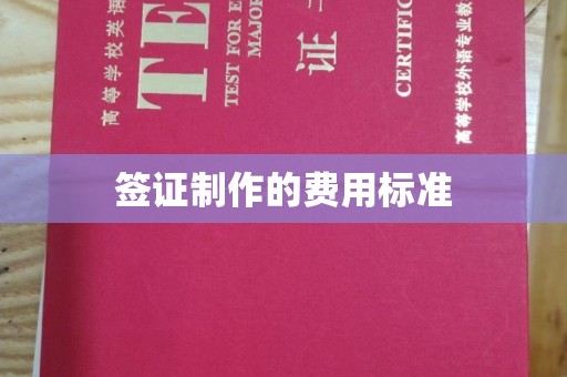 乳源签证制作的费用标准